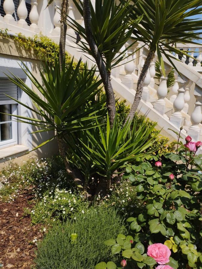 Villa Flora Superior Apartment Cabris Exterior photo